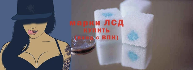 а пвп мука Магас