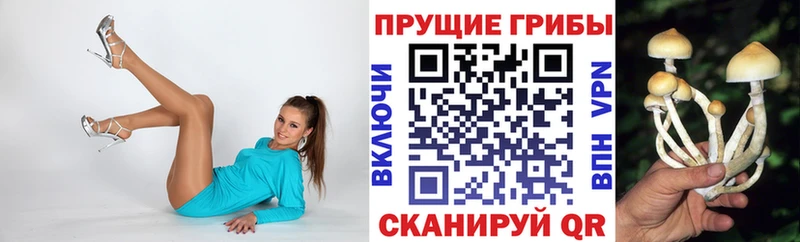 Галлюциногенные грибы GOLDEN TEACHER  Кяхта 